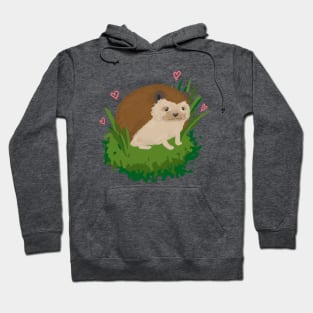 Hedgehog Hoodie